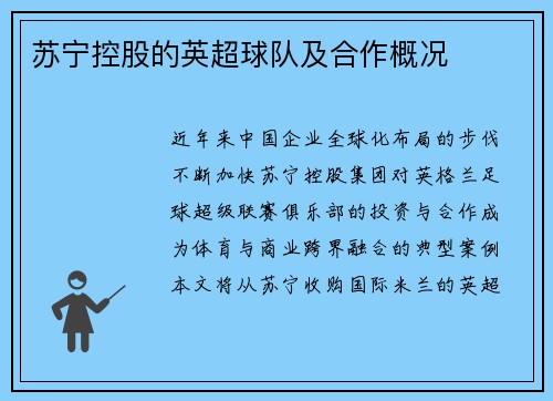 苏宁控股的英超球队及合作概况