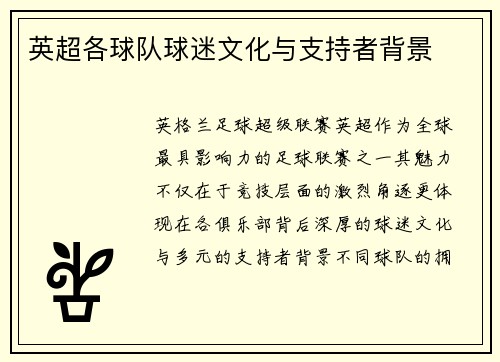 英超各球队球迷文化与支持者背景