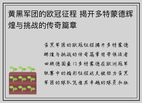 黄黑军团的欧冠征程 揭开多特蒙德辉煌与挑战的传奇篇章